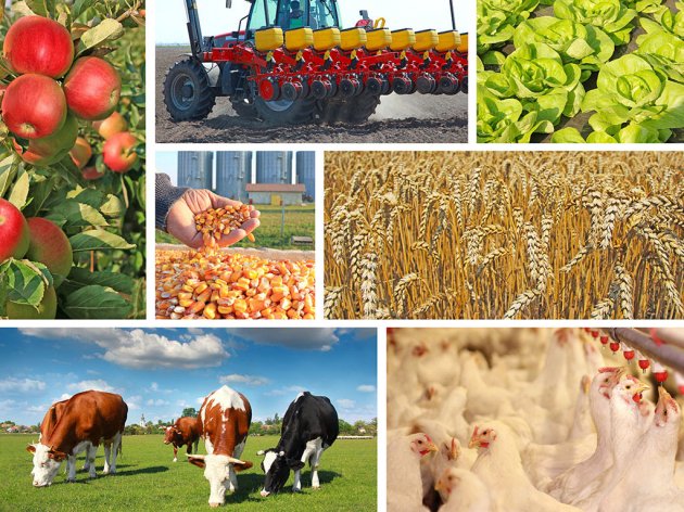 Objavljen poziv u RS za ovogodišnje kapitalne investicije u poljoprivredi