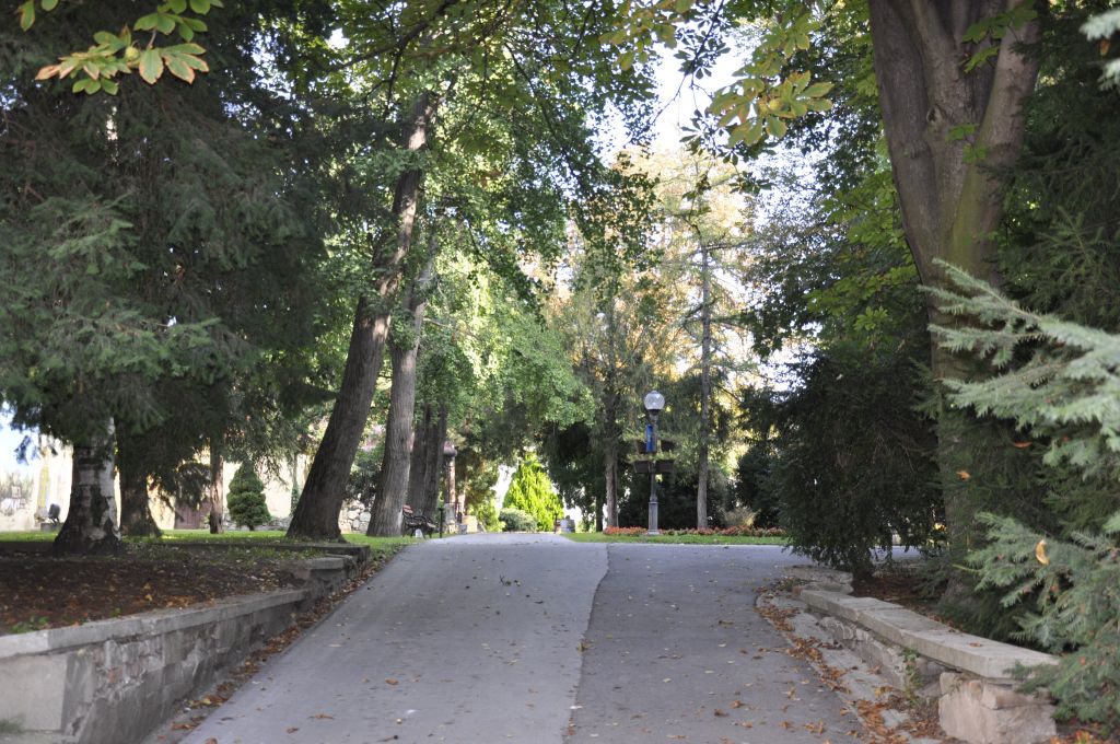 Županijski park Zrenjanin - Gradska bašta Zrenjanin